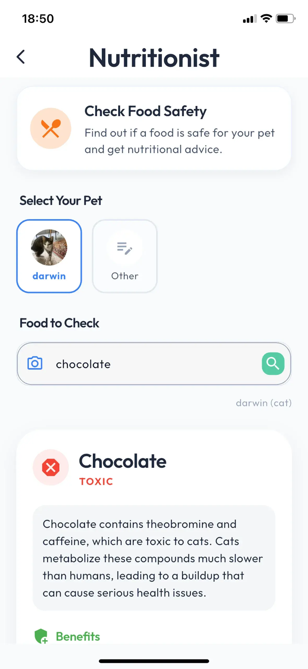 PetAI food question for Darwin with chocolate entered and an AI-generated risk explanation